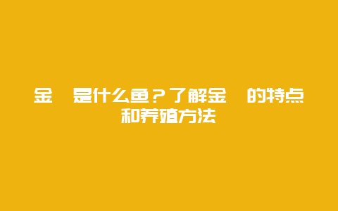 金鳟是什么鱼？了解金鳟的特点和养殖方法