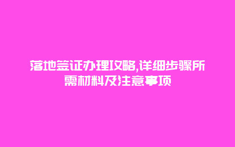 落地签证办理攻略,详细步骤所需材料及注意事项