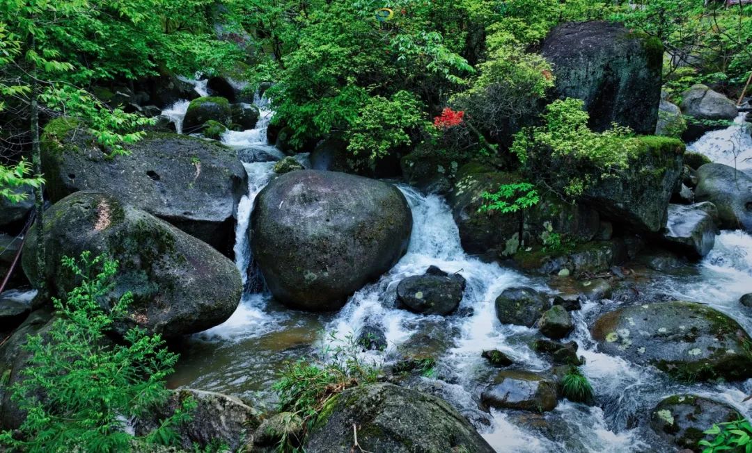 浏阳大围山森林公园好玩吗？要门票吗？