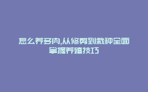 怎么养多肉,从修剪到栽种全面掌握养殖技巧