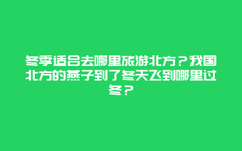 冬季适合去哪里旅游北方？我国北方的燕子到了冬天飞到哪里过冬？