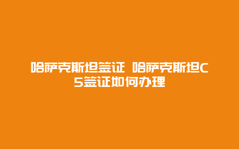 哈萨克斯坦签证 哈萨克斯坦C5签证如何办理