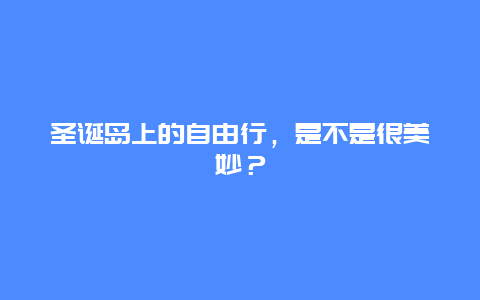 圣诞岛上的自由行，是不是很美妙？