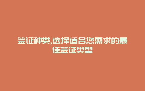 签证种类,选择适合您需求的最佳签证类型