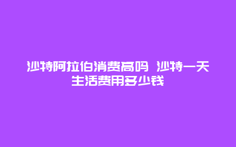 沙特阿拉伯消费高吗 沙特一天生活费用多少钱