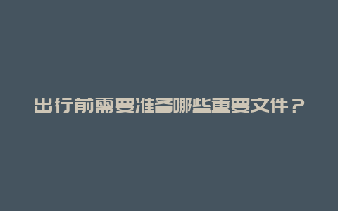 出行前需要准备哪些重要文件？