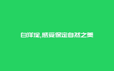 白洋淀,感受保定自然之美