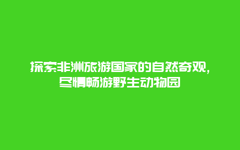 探索非洲旅游国家的自然奇观,尽情畅游野生动物园