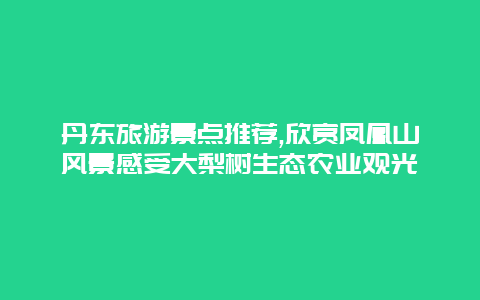 丹东旅游景点推荐,欣赏凤凰山风景感受大梨树生态农业观光