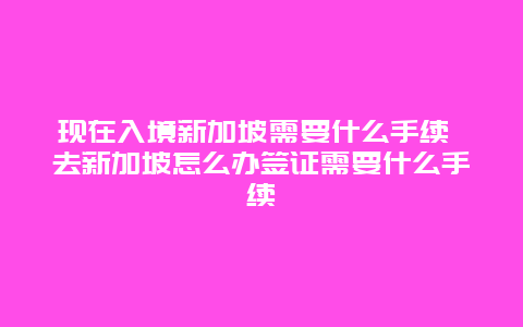 现在入境新加坡需要什么手续 去新加坡怎么办签证需要什么手续