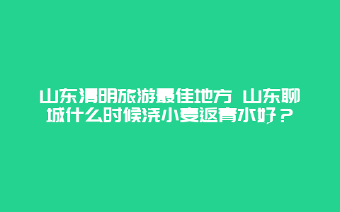 山东清明旅游最佳地方 山东聊城什么时候浇小麦返青水好？