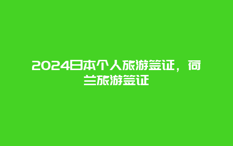 2024日本个人旅游签证，荷兰旅游签证