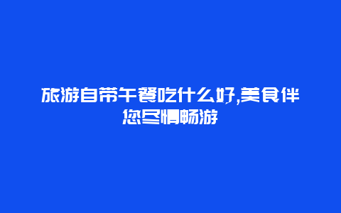 旅游自带午餐吃什么好,美食伴您尽情畅游