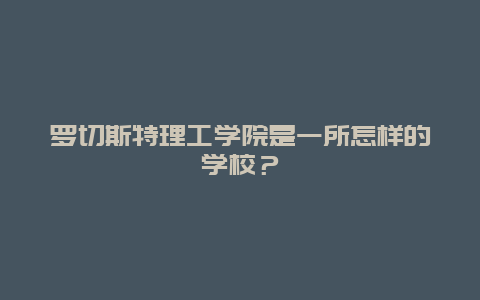 罗切斯特理工学院是一所怎样的学校？