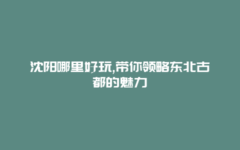 沈阳哪里好玩,带你领略东北古都的魅力