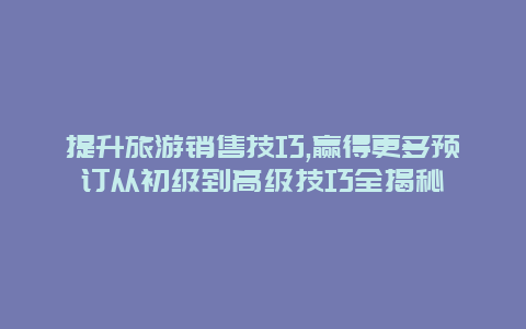 提升旅游销售技巧,赢得更多预订从初级到高级技巧全揭秘