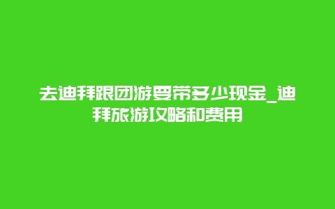 去迪拜跟团游要带多少现金_迪拜旅游攻略和费用