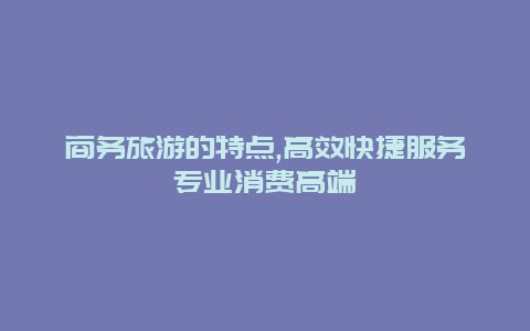 商务旅游的特点,高效快捷服务专业消费高端