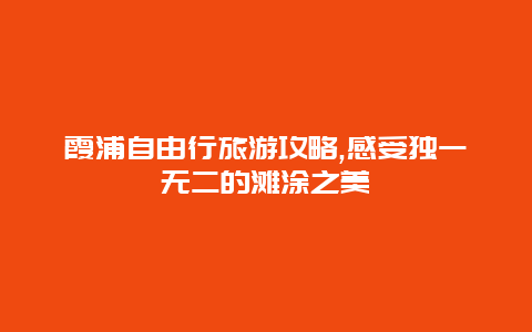 霞浦自由行旅游攻略,感受独一无二的滩涂之美