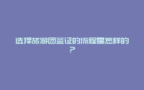 选择旅游团签证的流程是怎样的？