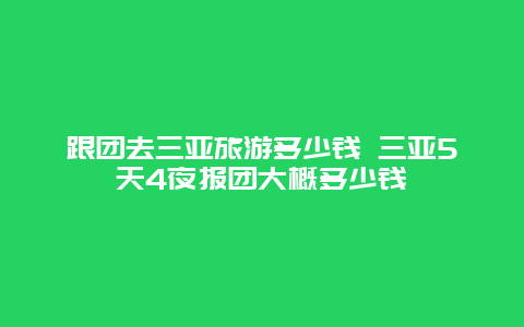 跟团去三亚旅游多少钱 三亚5天4夜报团大概多少钱