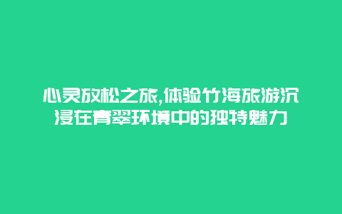 心灵放松之旅,体验竹海旅游沉浸在青翠环境中的独特魅力