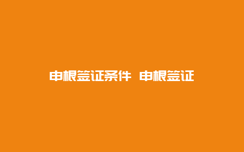 申根签证条件 申根签证