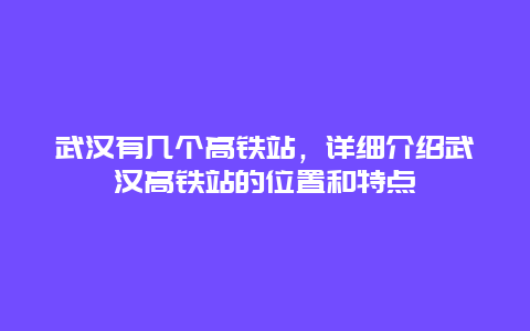 武汉有几个高铁站，详细介绍武汉高铁站的位置和特点