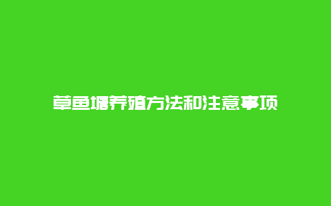 草鱼塘养殖方法和注意事项