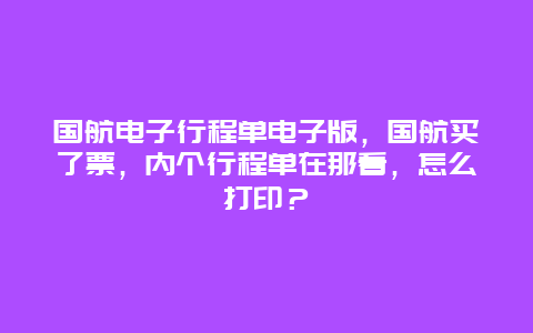 国航电子行程单电子版，国航买了票，内个行程单在那看，怎么打印？