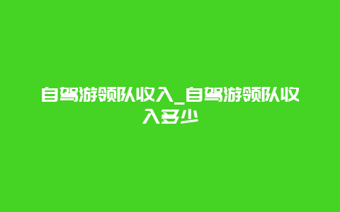 自驾游领队收入_自驾游领队收入多少