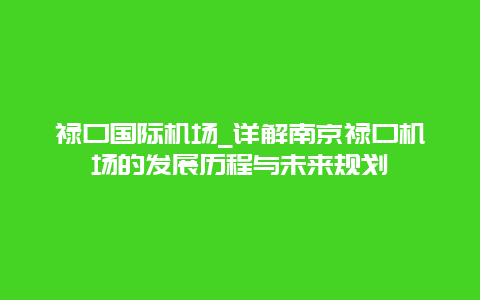 禄口国际机场_详解南京禄口机场的发展历程与未来规划