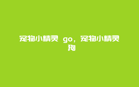 宠物小精灵 go，宠物小精灵 狗