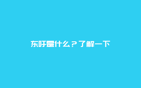 东吁是什么？了解一下