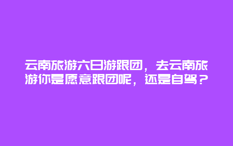 云南旅游六日游跟团，去云南旅游你是愿意跟团呢，还是自驾？