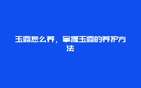 玉露怎么养，掌握玉露的养护方法