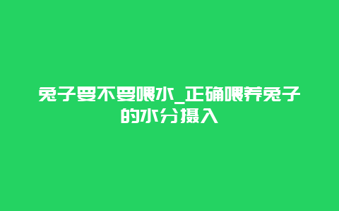 兔子要不要喂水_正确喂养兔子的水分摄入