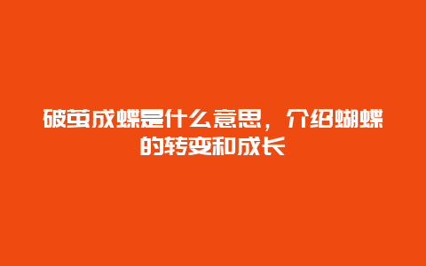 破茧成蝶是什么意思，介绍蝴蝶的转变和成长