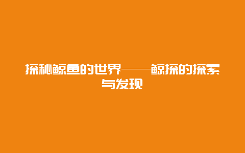 探秘鲸鱼的世界——鲸探的探索与发现