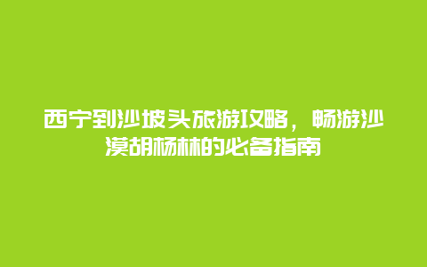 西宁到沙坡头旅游攻略，畅游沙漠胡杨林的必备指南