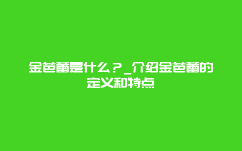 金芭蕾是什么？_介绍金芭蕾的定义和特点