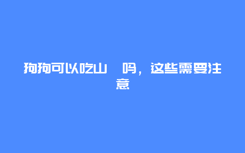 狗狗可以吃山楂吗，这些需要注意