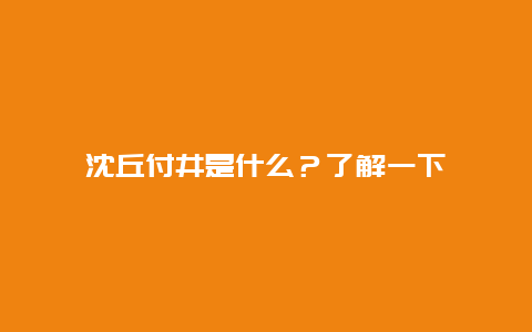 沈丘付井是什么？了解一下