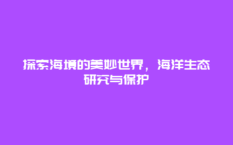 探索海境的美妙世界，海洋生态研究与保护