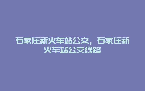 石家庄新火车站公交，石家庄新火车站公交线路