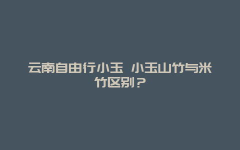 云南自由行小玉 小玉山竹与米竹区别？