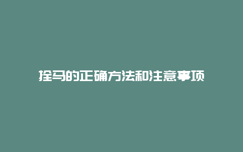 拴马的正确方法和注意事项