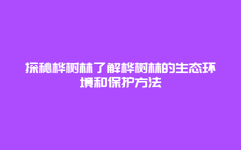 探秘桦树林了解桦树林的生态环境和保护方法