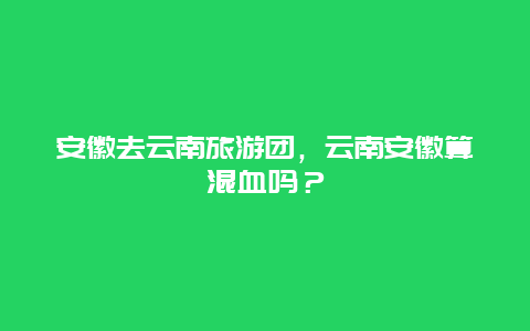 安徽去云南旅游团，云南安徽算混血吗？