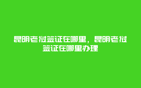 昆明老挝签证在哪里，昆明老挝签证在哪里办理